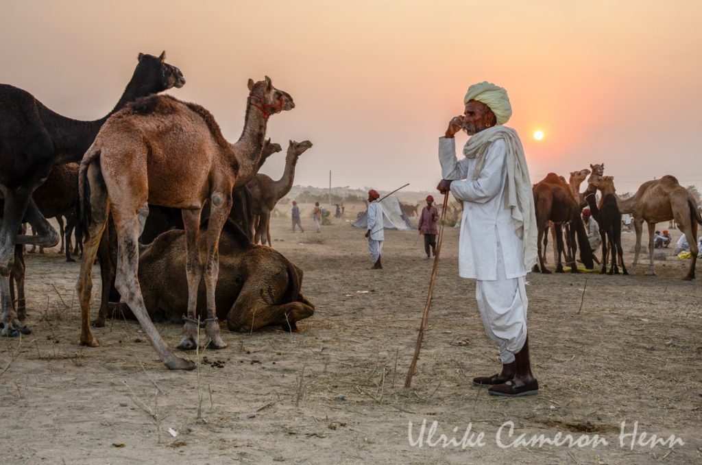 Pushkar India Camel Fair