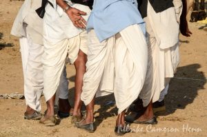 Pushkar India Camel Fair