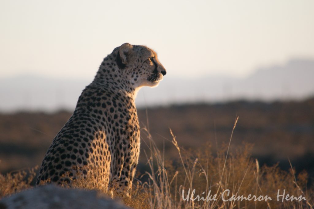 south africa