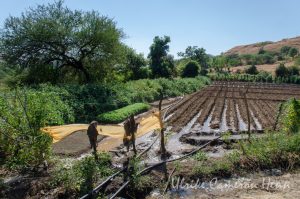itwdp Integrated Tribal Watershed Development Programme India
