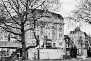 kühne helden bold heroes Hamburg tree baum bäume