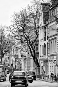 kühne helden bold heroes Hamburg tree baum bäume