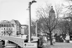 kühne helden bold heroes Hamburg tree baum bäume