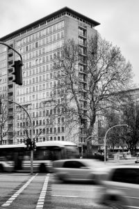 kühne helden bold heroes Hamburg tree baum bäume